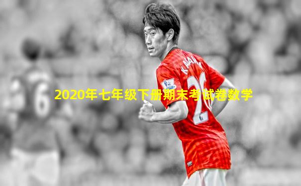 2020年七年级下册期末考试卷数学