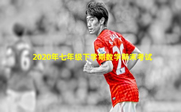 2020年七年级下学期数学期末考试