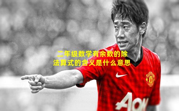 二年级数学有余数的除法算式的含义是什么意思
