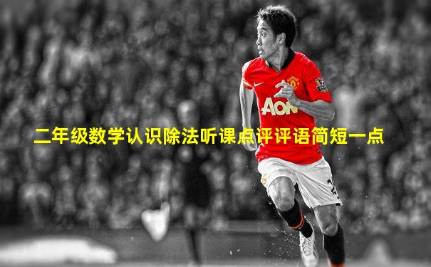二年级数学认识除法听课点评评语简短一点