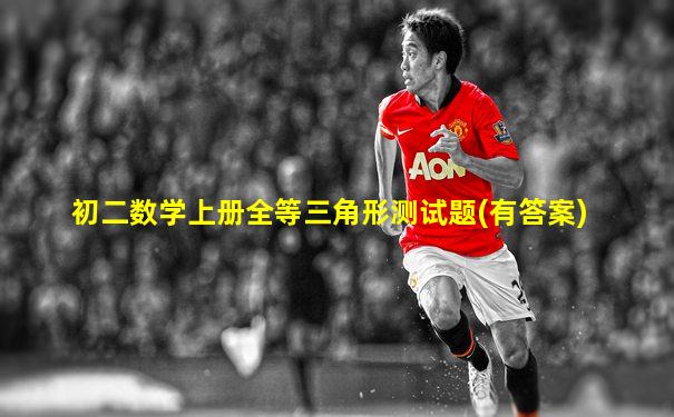 初二数学上册全等三角形测试题(有答案)