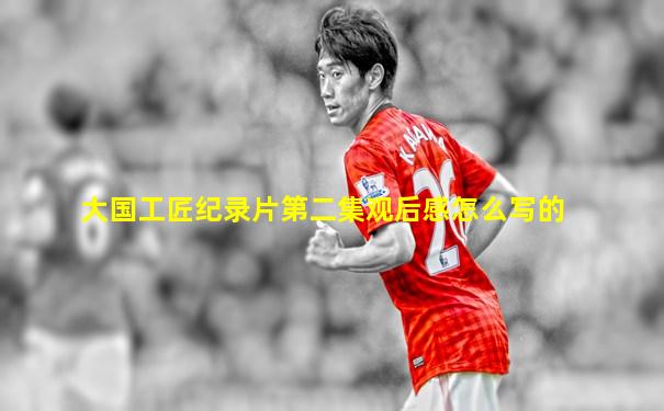 大国工匠纪录片第二集观后感怎么写的