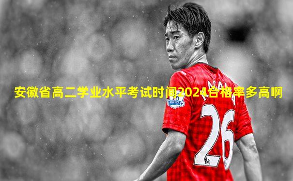 安徽省高二学业水平考试时间2024合格率多高啊