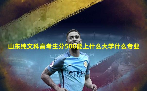 山东纯文科高考生分500能上什么大学什么专业