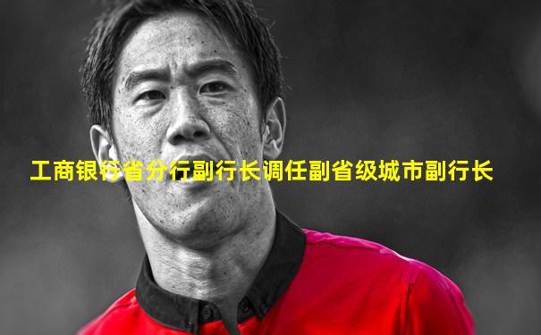 工商银行省分行副行长调任副省级城市副行长