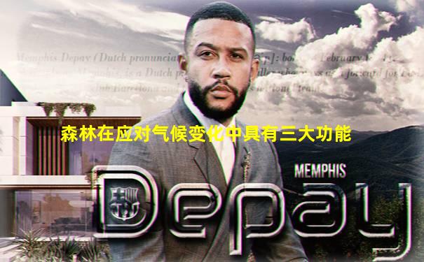 森林在应对气候变化中具有三大功能