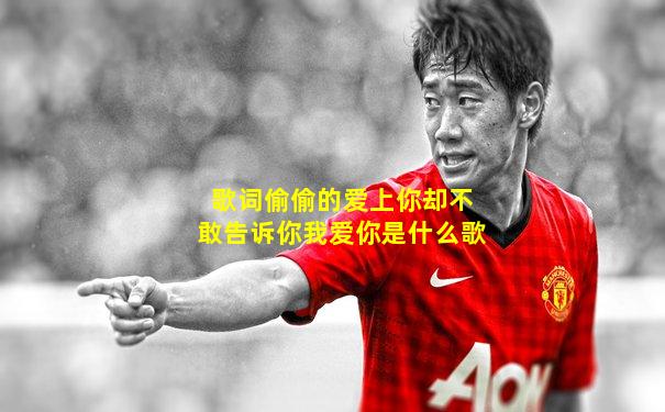 歌词偷偷的爱上你却不敢告诉你我爱你是什么歌