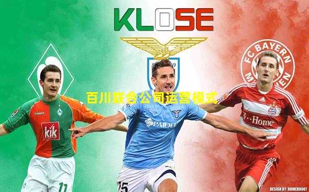百川联合公司运营模式