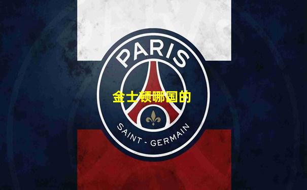 金士顿哪国的