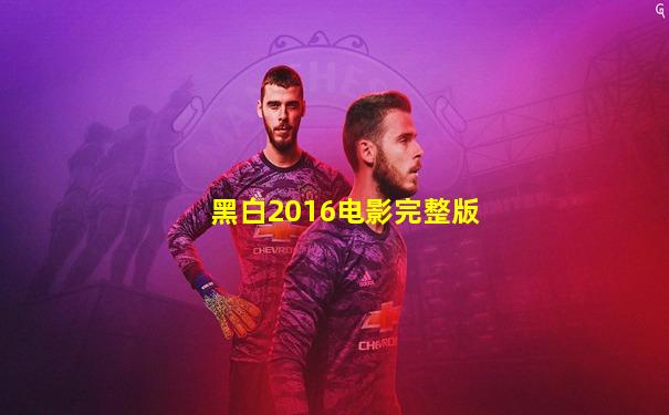 黑白2016电影完整版