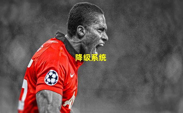 降级系统