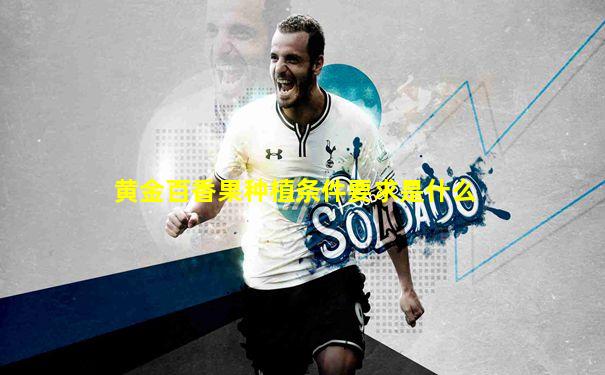 黄金百香果种植条件要求是什么